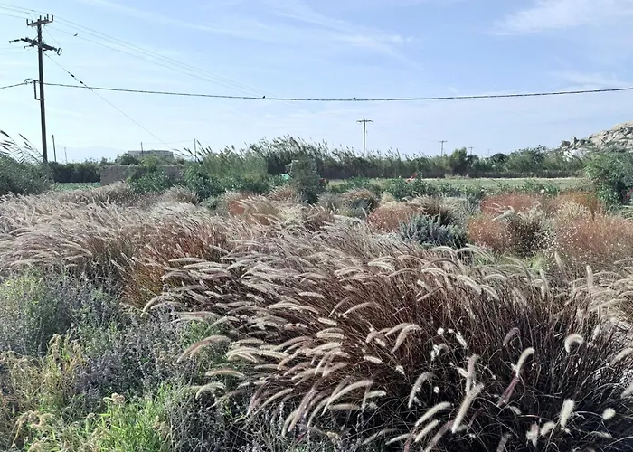 Finoe 4 Bdr With Private Pool Villa *