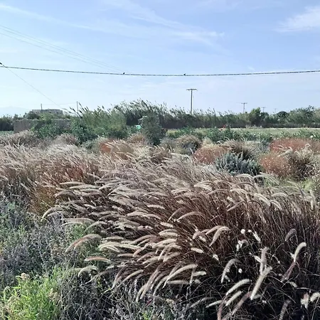 Finoe 4 Bdr With Private Pool Villa *