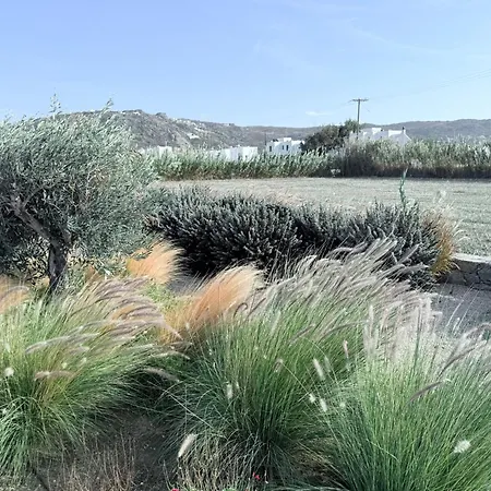 Finoe 4 Bdr With Private Pool Plaka (Naxos)