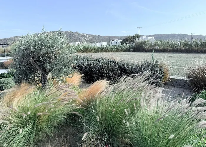 Finoe 4 Bdr With Private Pool Pláka